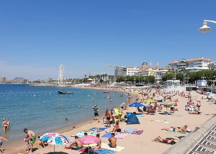 Le Belvedere Du Vieux Port Plages Centre Et Gare A Pied شقة